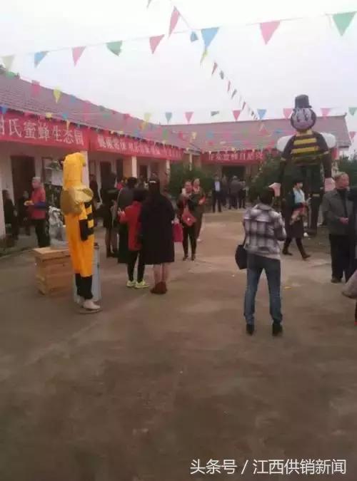 新余仙蜂合作社:发展甜蜜事业,供销社是“蜂王”