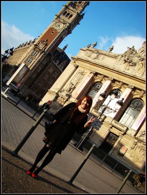 法国各大城市简介,法国里尔市