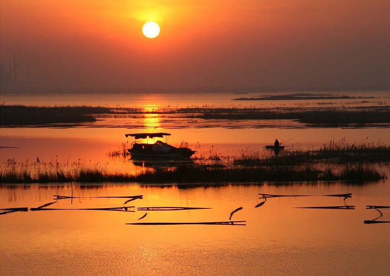 孝贤故里鱼台,鱼台县孝贤故里简介