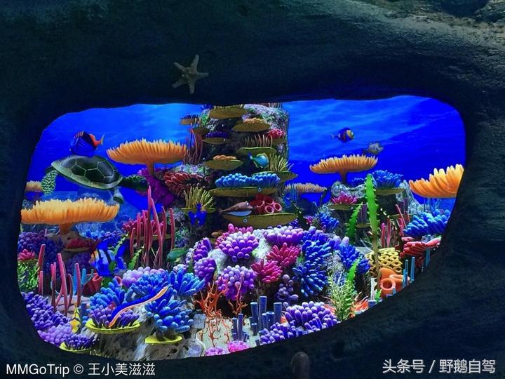 北京奇幻乐园乐多港最佳路线,京郊乐多港奇幻乐园