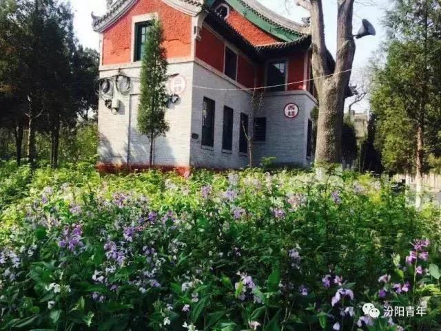 汾阳有几所高级中学,汾阳高级中学全省排名