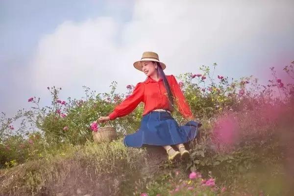 成都周边玫瑰景点推荐一下,成都玫瑰花海一日游