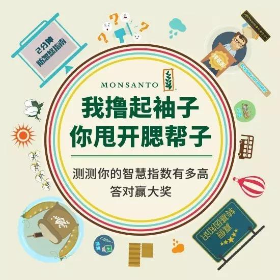 芝士的美味,芝士美食绝对不可错过