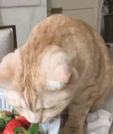 博君一笑回顾,博君一笑超燃剪辑