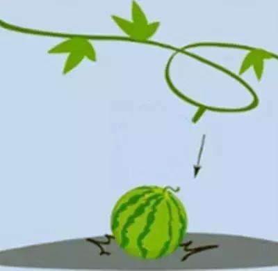 看图猜成语全猜对的是学霸,看图猜成语看你猜对几个