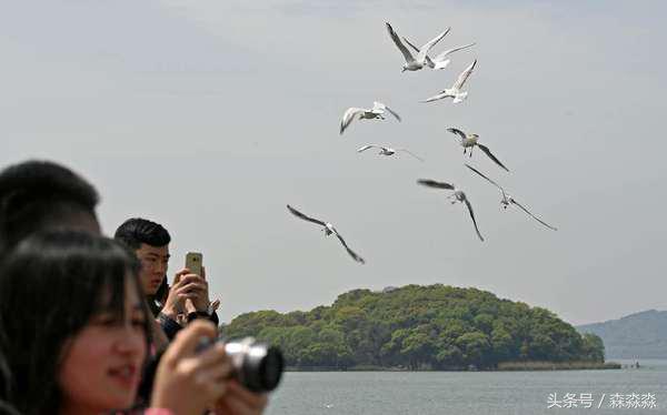游无锡美景,游无锡太湖美景