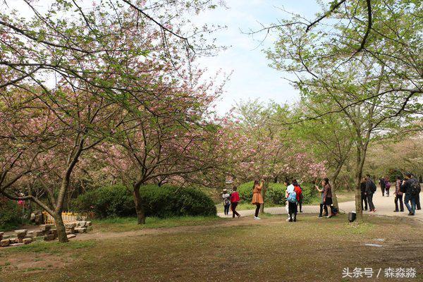游无锡美景,游无锡太湖美景