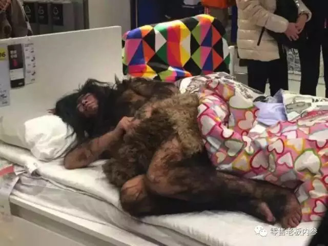 宜家应该怎么逛收好这份攻略,迪卡侬宜家大润发