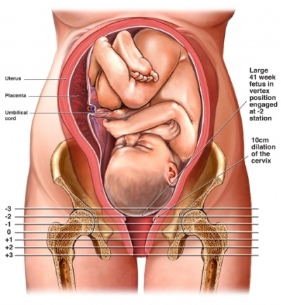 女性生产时开十指指的是什么,分娩时开十指是什么