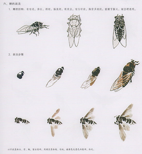 工笔花鸟国画背景的画法,中国国画几种虫儿的画法