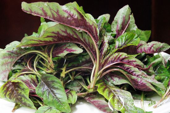 也许你见过，但是你未必能叫出来的野菜，药用价值相当的高