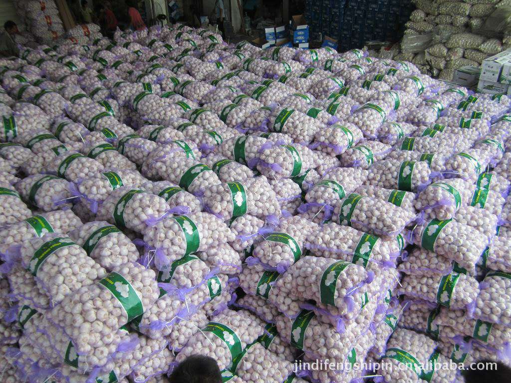 一起走进中国大蒜第一镇