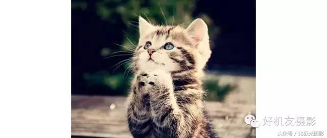 快门速度快慢的区别,快门速度多少可以有运动模糊