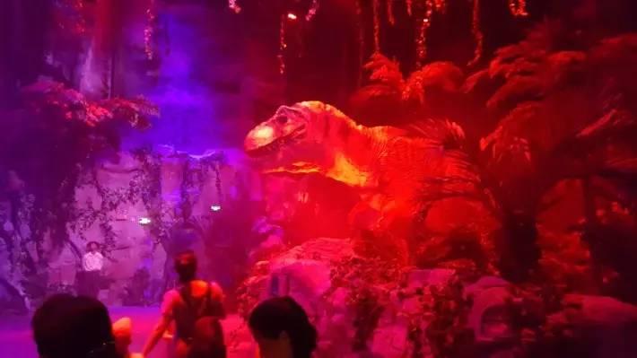 长隆番禺野生动物园攻略,番禺长隆野生动物园门票攻略