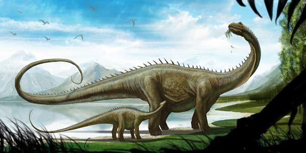 恐龙分类大洗牌，麻雀角龙一家亲丨玉米熊放学小报No.220