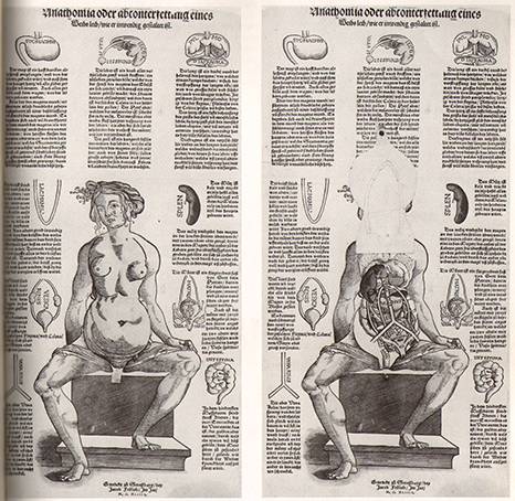 古今中外绘画欣赏,解剖全国绘画优秀作品