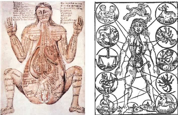 古今中外绘画欣赏,解剖全国绘画优秀作品