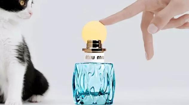 爱马仕香奈儿迪奥哪个好闻,爱马仕橙迪奥