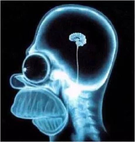 蒙娜丽莎细思极恐的真面目,蒙娜丽莎的一些细节