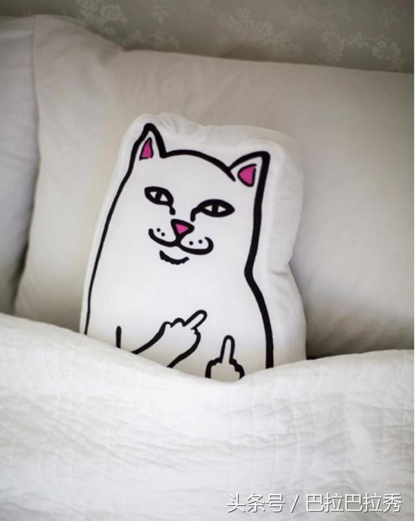 潮牌最强王者,不要再怂了!不如让这只贱猫帮你出头!