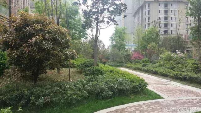 润城时光里的房子值得买吗,润城时光里的升值空间