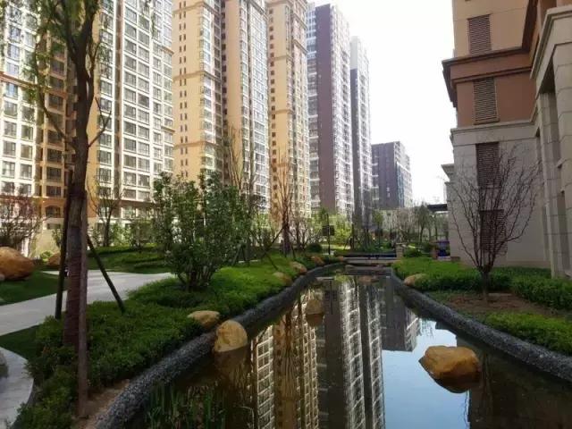 看楼王的风采,星河盛世三百多平开工大吉