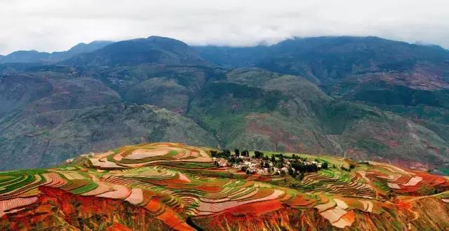 4月重庆飞哪里的机票便宜,五一重庆飞哪个海边的机票便宜