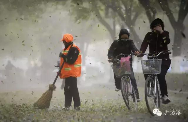 哪种天气更适合花粉过敏者踏青,在这个花粉过敏的季节里