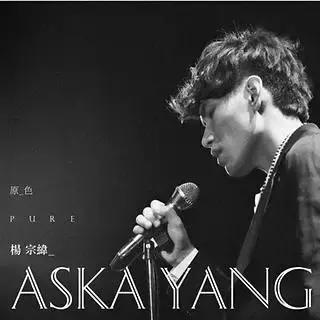 沙哑的喉咙唱着淡淡的哀愁杨宗纬,如果有一首歌能让你感动落泪