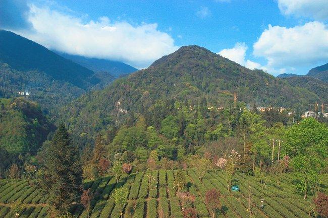 峨眉山一日观金顶日出吃住行攻略,峨眉山吃住行全攻略