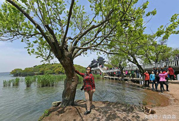 游无锡美景,游无锡太湖美景