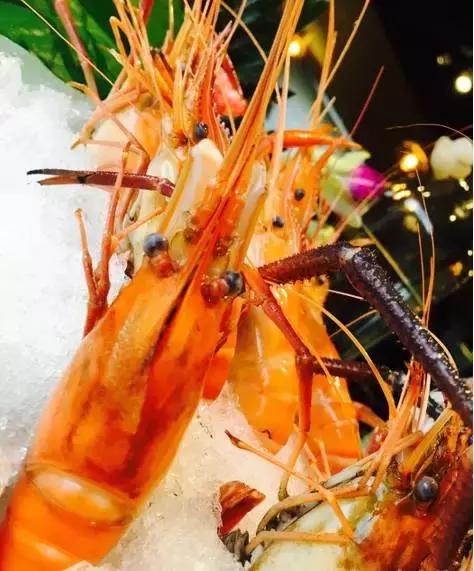 27家餐饮店被曝光,西安餐饮店最新爆料