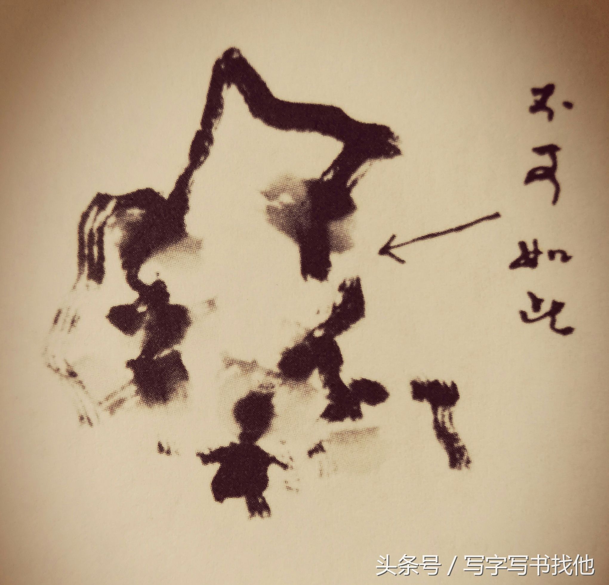 湖石的画法和技巧,工笔湖石画法