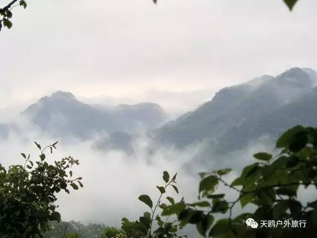 踏春出游来洛阳,踏春周末出游