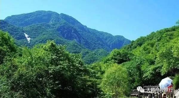 踏春出游来洛阳,踏春周末出游