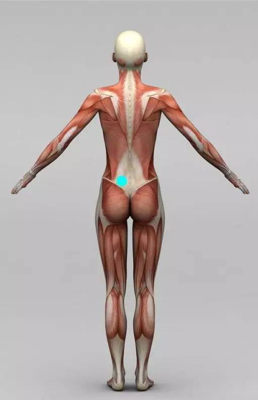 打完球足弓痛怎么缓解,打完球内侧足弓疼痛是什么原因