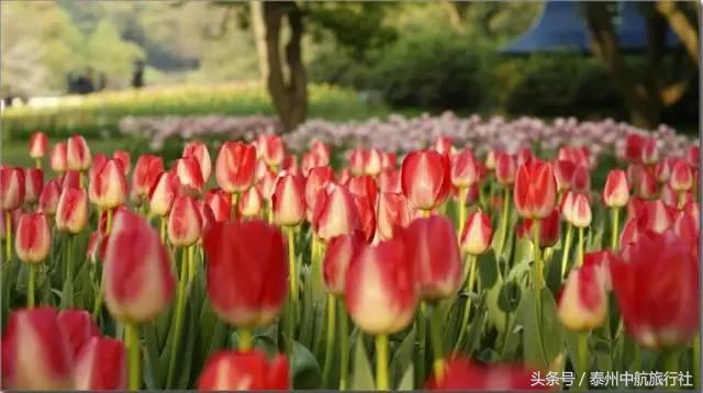 泰州秋雪湖欢乐世界冬天可以玩吗,泰州秋雪湖欢乐世界