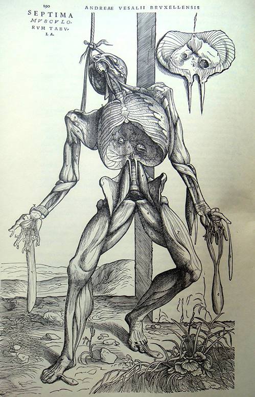 古今中外绘画欣赏,解剖全国绘画优秀作品