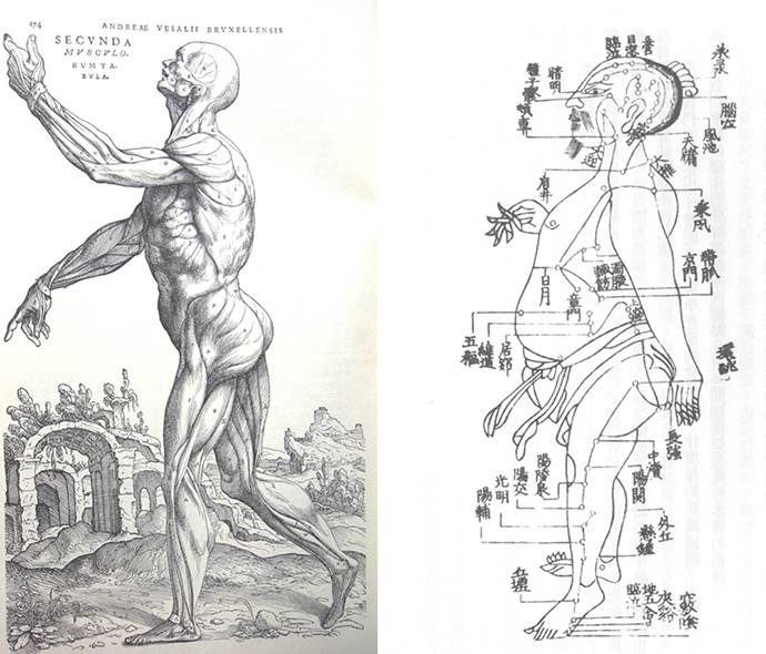 古今中外绘画欣赏,解剖全国绘画优秀作品