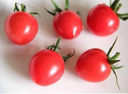 你吃到了哪些假瓜,真正千禧圣女果