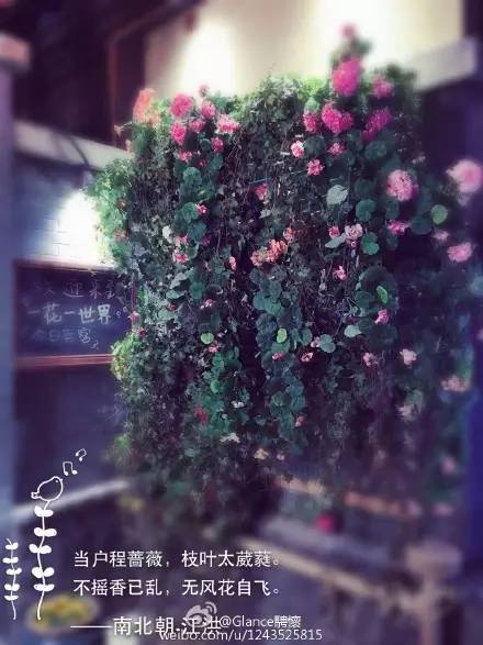 无锡春节文化,来看看我们无锡多美