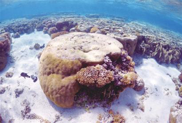 充满回忆的景点,只能在回忆里完整