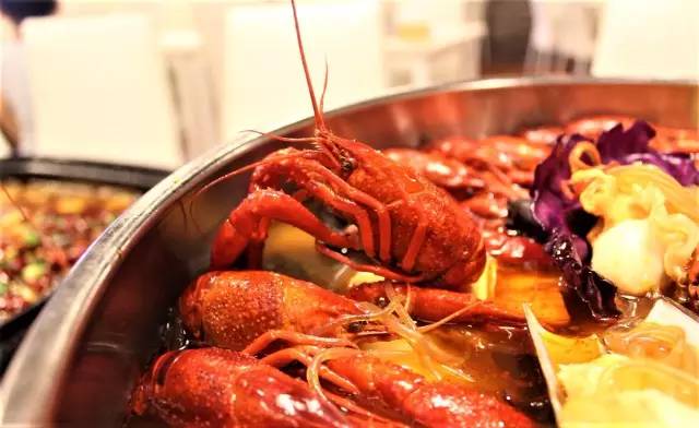 马来西亚海鲜大咖,在新加坡吃过最大的海鲜大咖