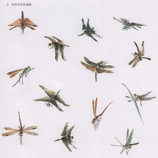 工笔花鸟国画背景的画法,中国国画几种虫儿的画法
