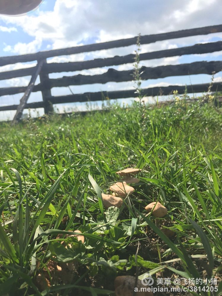 2018贝加尔湖自驾游,贝加尔湖畔自驾游全集