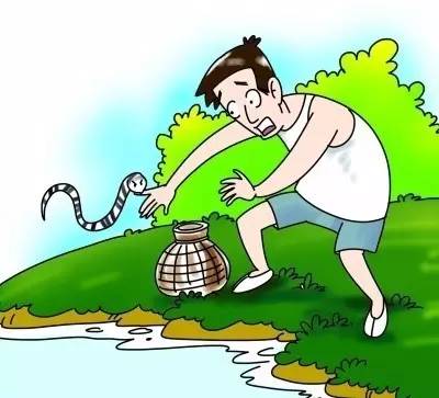 毒蛇来了该怎么保护自己,春天来了蛇怎么样了