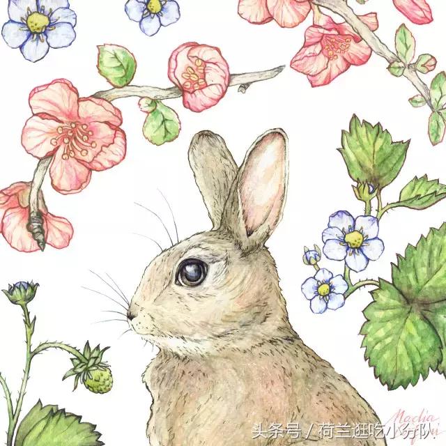 美呆了！最正宗的欧式复活节彩蛋和萌兔就该这样搞！（值得收藏）