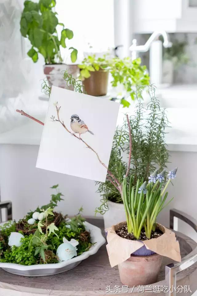 美呆了！最正宗的欧式复活节彩蛋和萌兔就该这样搞！（值得收藏）