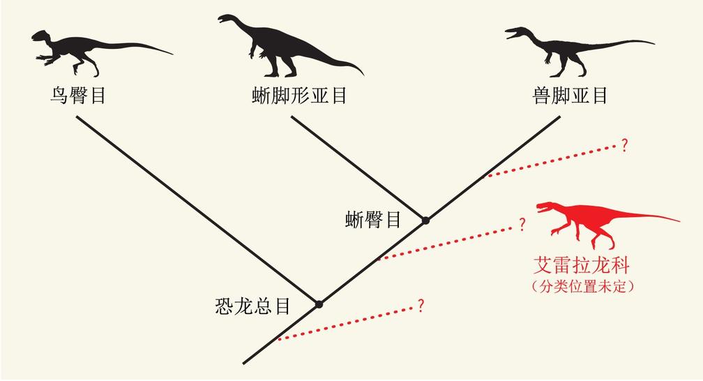 恐龙分类大洗牌，麻雀角龙一家亲丨玉米熊放学小报No.220