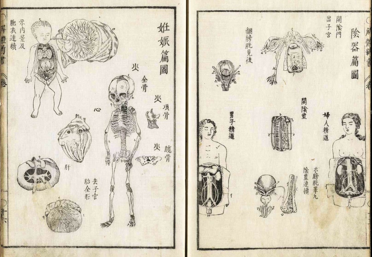 古今中外绘画欣赏,解剖全国绘画优秀作品